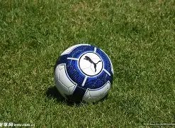 女篮调整后,重启训练,塞尔维亚首,千亿体育官方,千亿体育在线官网,千亿体育线上,千亿体育APP