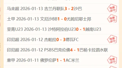 科尼亚杯客场战专家质合分析，期号关键推荐策略